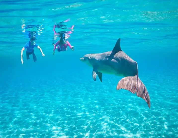 8 Days Honeymoon Tour in Cairo, Luxor, Hurghada